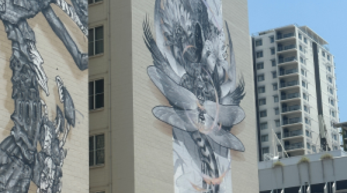 2022 Australian Street Art Award winning mural ‘Sanctum’ – Darwin city.